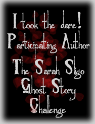 Participating Author Sarah Sligo Challenge
